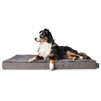 Ein schwarz-brauner Australian Shepherd Hund liegt auf einem plüschigen grauen Hundebett und schaut zur Seite. Das Bett hat eine weiche Oberseite und eine dicke Basis.