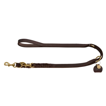 Braune Leder-Hundeleine mit einem geflochtenen Abschnitt und goldenen Beschlägen, mit einem runden Anhänger mit Logo.