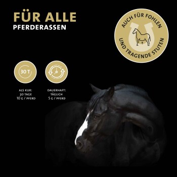 Schwarzes Pferdeprofil vor einem schwarzen Hintergrund, mit Text, der einen 30-tägigen Fütterungsplan für alle Pferderassen beschreibt, einschließlich Dosierungsanweisungen.