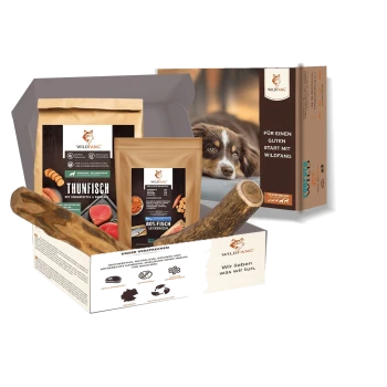 Wildfang Hundefutter- und Leckerli-Box mit fischbasierten Produkten und Foto eines braun-weißen Hundes auf der Verpackung.