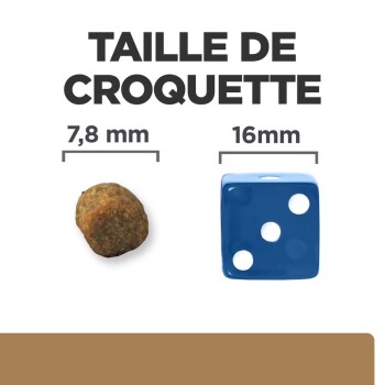 Image comparant la taille des croquettes pour animaux de compagnie (7,8 mm) à un dé bleu (16 mm) avec le texte "TAILLE DE CROQUETTE."