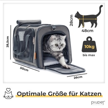 Graue Katzenbox mit einer Tabby-Katze, die herauskommt; Abmessungen: 50cm L, 28.5cm H, 26cm B, max. Gewicht 10kg. Text: "Optimale Größe für Katzen."