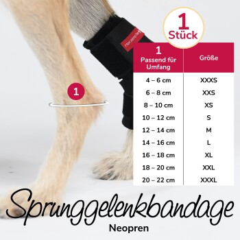 Größentabelle für Sprunggelenkbandage Neopren Knöchelbandage mit Umfang, Höhe und Größen von XXXS bis XXXL.