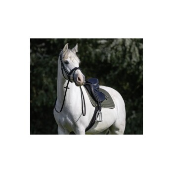 Ein weißes Pferd mit einem schwarzen Zaumzeug und Sattel, das in einer üppig grünen Umgebung steht.