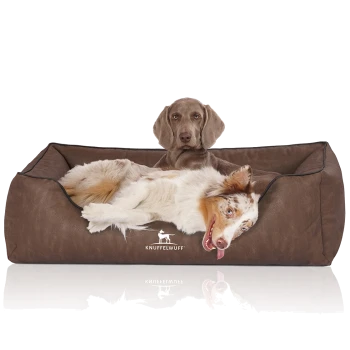 Ein entspannter Hund mit braun-weißem Fell liegt bequem in einem plüschigen, braunen Hundebett mit der Aufschrift "KNUFFELWUFFF."