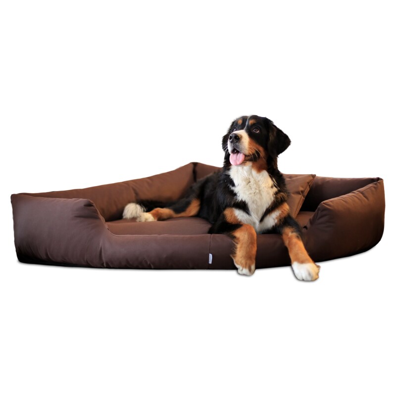 Tierlando TRIVIA orthopädisches Hundebett braun 1 m, 25 cm, 1 m