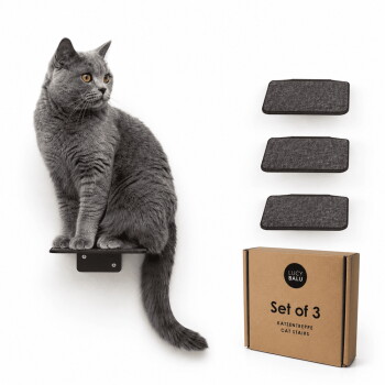 Eine getigerte Katze sitzt auf einem schwarzen wandmontierten Regal, schaut zur Seite, mit zwei zusätzlichen Regalen, die darunter an einer weißen Wand sichtbar sind.