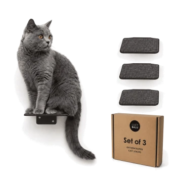 Eine getigerte Katze sitzt auf einem schwarzen wandmontierten Regal, schaut zur Seite, mit zwei zusätzlichen Regalen, die darunter an einer weißen Wand sichtbar sind.