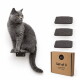 Eine getigerte Katze sitzt auf einem schwarzen wandmontierten Regal, schaut zur Seite, mit zwei zusätzlichen Regalen, die darunter an einer weißen Wand sichtbar sind.