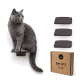 Eine getigerte Katze sitzt auf einem schwarzen wandmontierten Regal, schaut zur Seite, mit zwei zusätzlichen Regalen, die darunter an einer weißen Wand sichtbar sind.