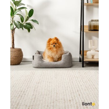 Ein flauschiger orangefarbener Pomeranian-Hund sitzt bequem in einem grauen Haustierbett auf einem hellen Teppich, mit einer Topfpflanze und einem Bücherregal im Hintergrund.