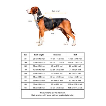 Bild eines Hundes mit beschrifteten Maßen für Rückenlänge, Halsumfang und Gürtel, neben einer Größentabelle mit Abmessungen in cm und Zoll.