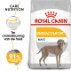 Royal Canin Dermacomfort Maxi hondenvoerzak met een Weimaraner hond, met tekst die huidondersteuning en 91% eigenaarstevredenheid aangeeft.