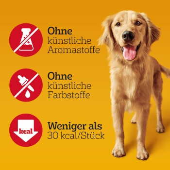 Golden Retriever auf einem hellgelben Hintergrund mit Text: "Keine künstlichen Aromen," "Keine künstlichen Farbstoffe," "Unter 30 kcal/Stück."