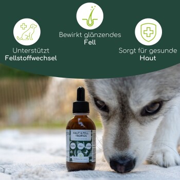 Flasche mit Haut- und Fellöl für Haustiere mit Pipette, mit deutschem Text: "Haut & Fell Tropfen," und Symbolen, die Vorteile für die Fellgesundheit anzeigen.
