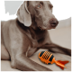 Ein grauer Hund ruht auf einem Holzboden neben einem orangefarbenen und schwarzen fischförmigen Spielzeug. Der aufmerksame Ausdruck des Hundes deutet auf Neugier hin.