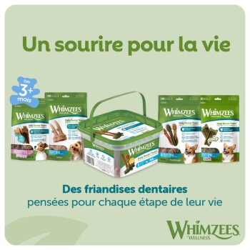 Packs et pot de friandises dentaires Whimzees pour chiens avec le slogan français «Un sourire pour la vie» et «Des friandises dentaires»