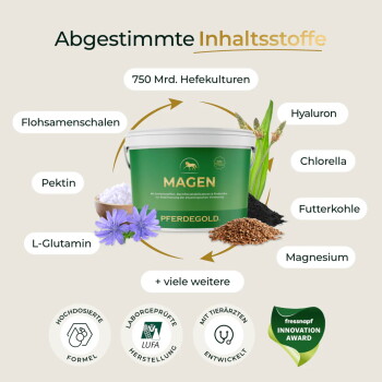 Grüner Behälter 'MAGEN PFERDEGOLD' mit Überschrift 'Abgestimmte Inhaltsstoffe' und Zutatenangaben wie Flohsamenschalen.