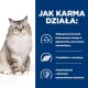 Puszysty kot z niebieskimi oczami siedzi obok tekstu opisującego korzyści z karmy dla kotów: wzbogacona w omega-3, L-karnitynę i przeciwutleniacze.