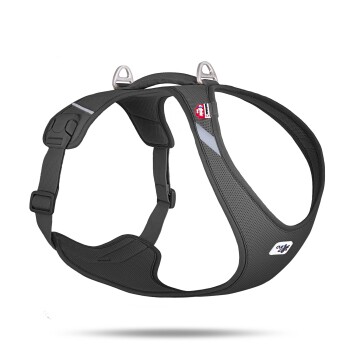 Schwarzes gepolstertes Hundegeschirr mit verstellbaren Riemen, Metall-D-Ringen und sichtbaren Logos „Ruffwear“ und „Web Master“.