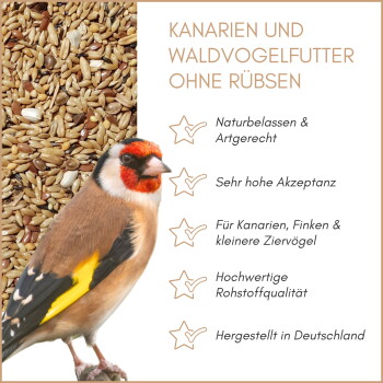 Stieglitz auf Samen mit deutschem Text 'KANARIEN UND WALDVOGELFUTTER OHNE RÜBSEN' — naturbelassen, für Kanarienvögel und Finken, Deutschland