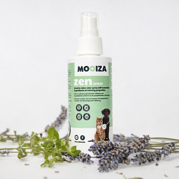 MOOIZA Zen Sprayflasche mit grünem Etikett, die eine Katze und einen Hund zeigt, umgeben von Lavendel. Text: "Geruch & Entspannung: beruhigendes Duftspray."