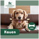 Ein Golden Retriever auf einem braunen Sofa hält einen Kauknochen. Das Bild enthält "Kauen", einen grünen Kreis mit einem Knochen, und das Knuffelwuff Naturkost-Logo.