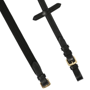 Schwarze Haustierleine aus einer Kombination von strapazierfähigem Stoff und Leder, mit goldfarbenen Schnallen und verstellbaren Riemen.