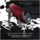 Ein gefleckter Hund in einer roten Jacke läuft auf felsigem Terrain, mit dem Text: "Ideal für nächtliche Abenteuer. LED-reflektierende Streifen für Sichtbarkeit."