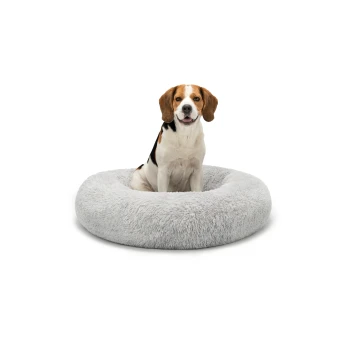 Ein Beagle sitzt bequem in einem plüschigen, runden grauen Hundebett und zeigt seine weiche, flauschige Textur vor einem weißen Hintergrund.