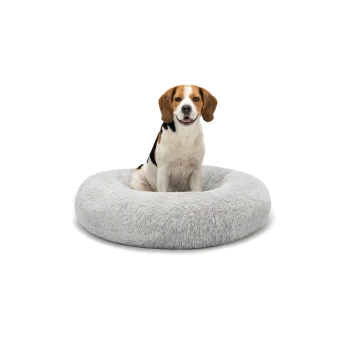 Ein Beagle sitzt bequem in einem plüschigen, runden grauen Hundebett und zeigt seine weiche, flauschige Textur vor einem weißen Hintergrund.