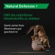 Eine verspielte getigerte Katze kaut auf einem Schuh, mit "Natural Defences +" und einer deutschen Beschreibung zur Stärkung der natürlichen Abwehrkräfte von Haustieren.