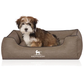 Flauschiger braun-weißer Welpe in einem braunen Hundebett mit weißem 'KNUFFELWUFF'-Logo und Hundesilhouette.