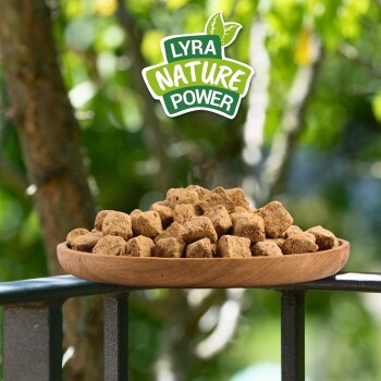 Holzteller gefüllt mit braunen Haustierleckerlis auf einem Geländer, mit „Lyra Nature Power“-Logo und grünem Pflanzenhintergrund.