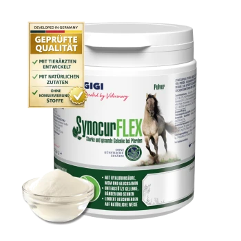 Behälter mit SynocurFLEX-Pulver für Pferde, das die Gelenkgesundheit mit Hyaluronsäure, MSM, Glucosamin und GMP-Zertifizierung fördert.