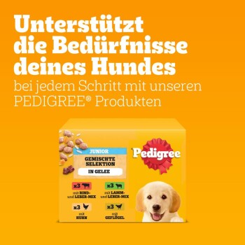 Pedigree Nassfutter Hund Junior, Multipack, Gemischte Selektion, in Gelee 12x100 g