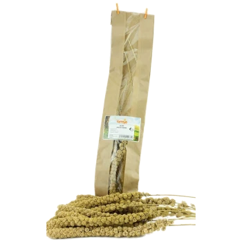 Eine Packung gelber Hirse (Kolbenhirse) für Haustiere, mit einem klaren Fenster und einem Etikett mit Produktdetails, liegt neben losen Hirsehalmen.
