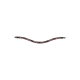 Ein stilvolles schwarzes Haustierhalsband, verziert mit funkelnden Strasssteinen, mit einem geschwungenen Design.