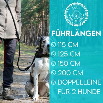 Eine Person, die einen Hund im Wald spazieren führt, mit Text, der die Leinenlängen auflistet: 115 CM, 125 CM, 150 CM, 200 CM, und einer Doppelleine für 2 Hunde.