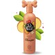 Eine Flasche Pet Head 2-in-1 Shampoo mit Pfirsichduft und Arganöl, mit einem knochenförmigen Pumpkopf und umgeben von Pfirsich- und Blättergrafiken.