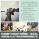 Collage von Hunden mit einem entspannten Hund am Wasser, der Stressabbau und Trainingshilfe für Hunde und Katzen hervorhebt.