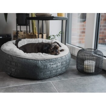 Ein kleiner brauner Hund liegt in einem gemütlichen grauen Haustierbett mit einem plüschigen weißen Innenraum, neben einem schwarzen Drahtkerzenhalter.