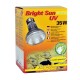 Box mit "Bright Sun UV Desert" Lampe für Reptilien, mit einer 35W-Metallhalogenlampe, mit Bildern von Eidechsen und mehrsprachigem Text.