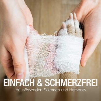 Eine Person wickelt den Pfoten eines Hundes mit einem weißen Verband, mit dem Text "EINFACH & SCHMERZFREI bei nässenden Ekzemen und Hotspots" darunter.