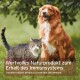 Braun-weißer Hund mit getigerter Katze auf Gras; Banner enthält deutschen Text über ein natürliches Produkt für die Unterstützung des Immunsystems.