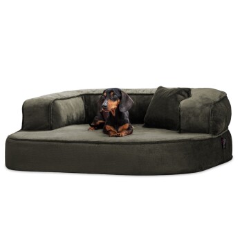 Ein schwarz-brauner Dackel liegt bequem auf einem plüschigen, olivgrünen Hundebett mit einem passenden Kissen.