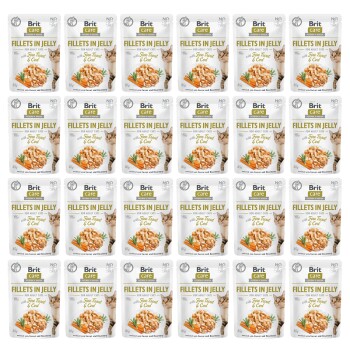 Care Cat Pouch Fillets in Jelly with Fine Trout & Cod 24 x 85 g