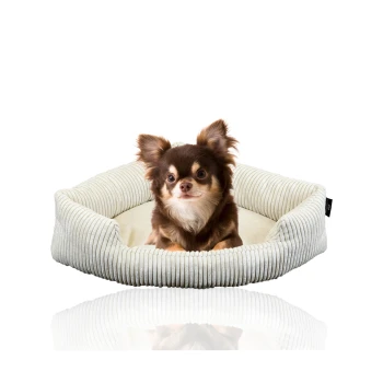 ® XXL Eck-Hundebett für große Hunde aus Cord M Ein gemütliches, beiges Haustierbett mit gerippter Textur, in dem ein kleiner Hund bequem sitzt.