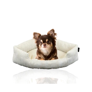 Ein gemütliches, beiges Haustierbett mit gerippter Textur, in dem ein kleiner Hund bequem sitzt.