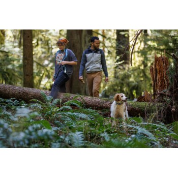 Ein Hund sitzt auf dem Waldboden, umgeben von Farnen, während zwei Personen auf einem umgefallenen Baumstamm im Hintergrund gehen.